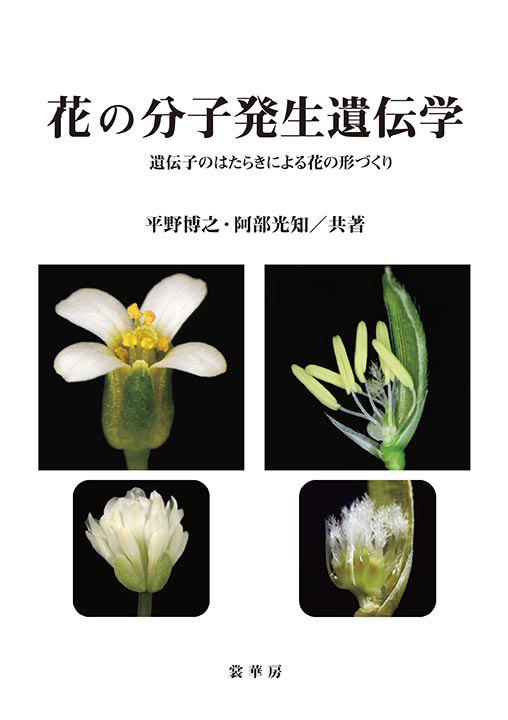 書籍紹介 花の分子発生遺伝学 平野博之 阿部光知 共著 生物学