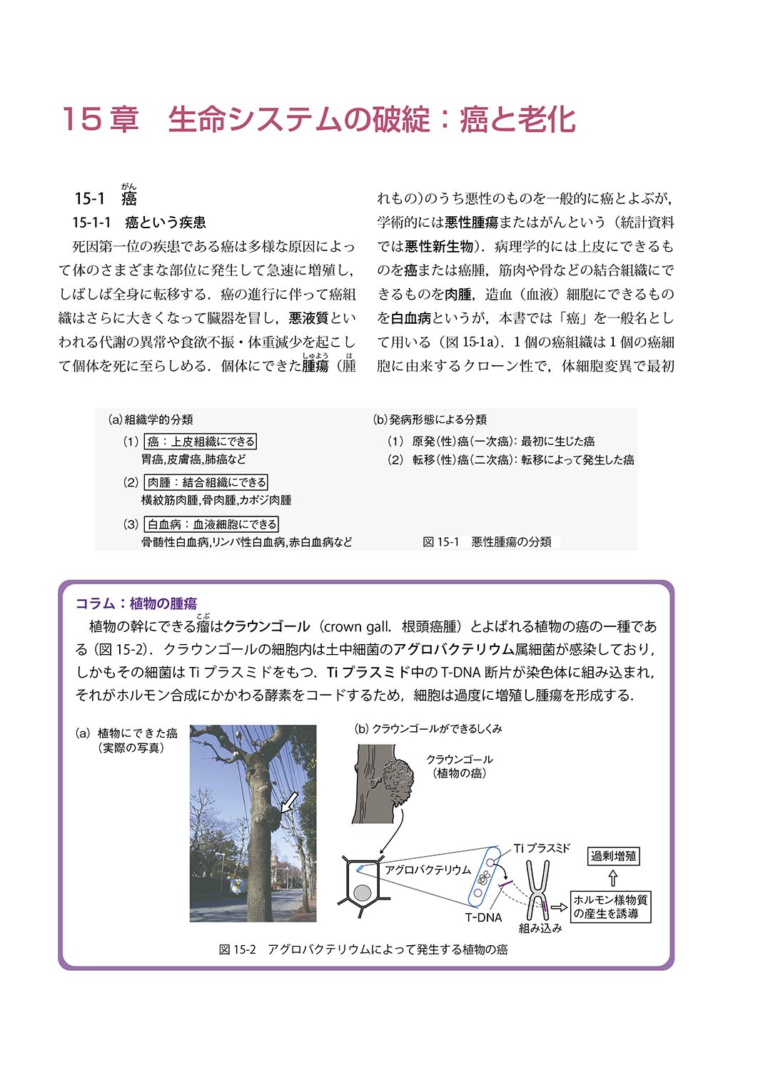 『医療・看護系のための 生物学(三訂版)』 内容見本